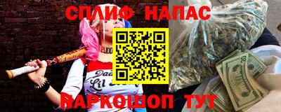 прущие грибы Будённовск